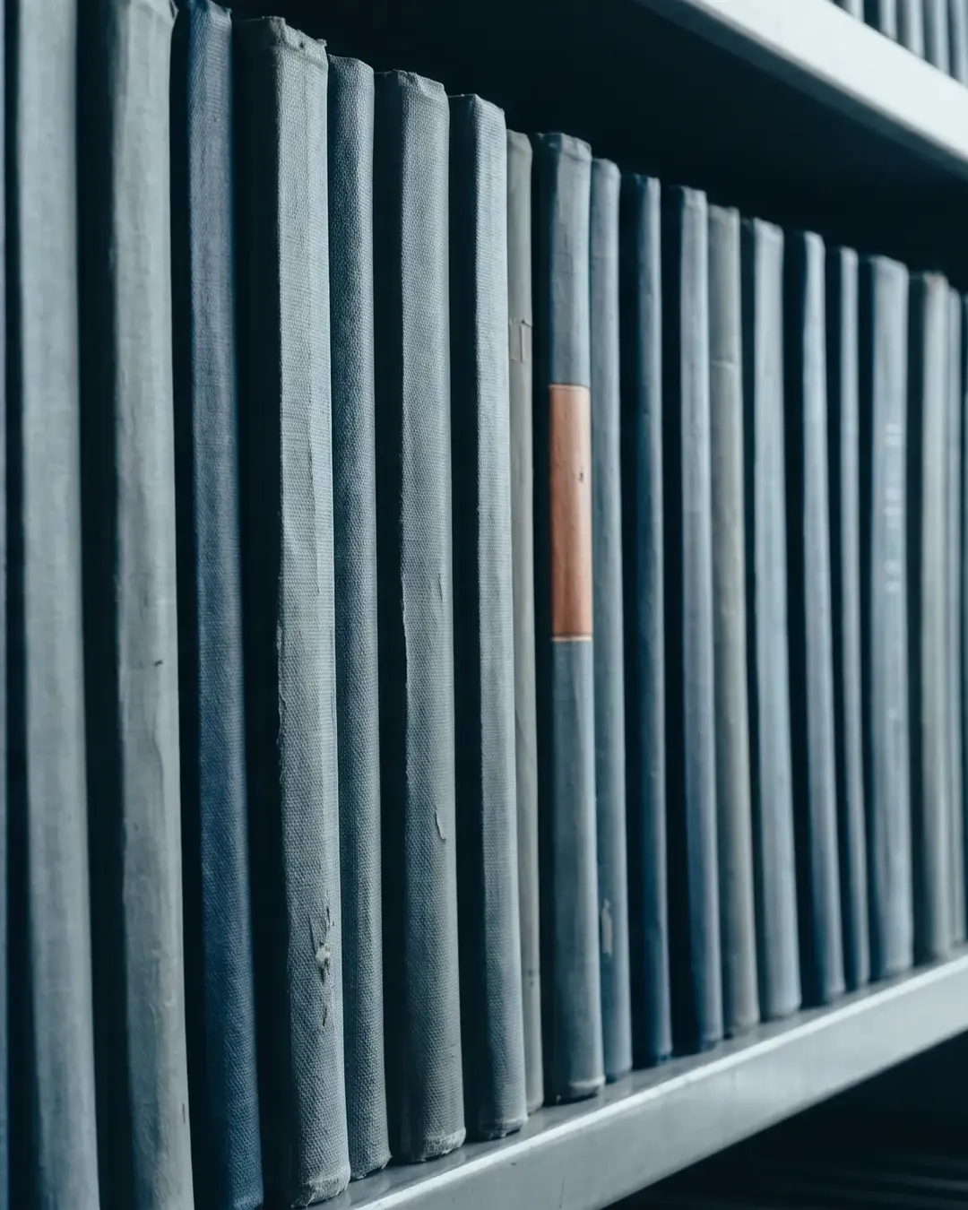 A long row of bound technical volumes seen edge-on in cold light