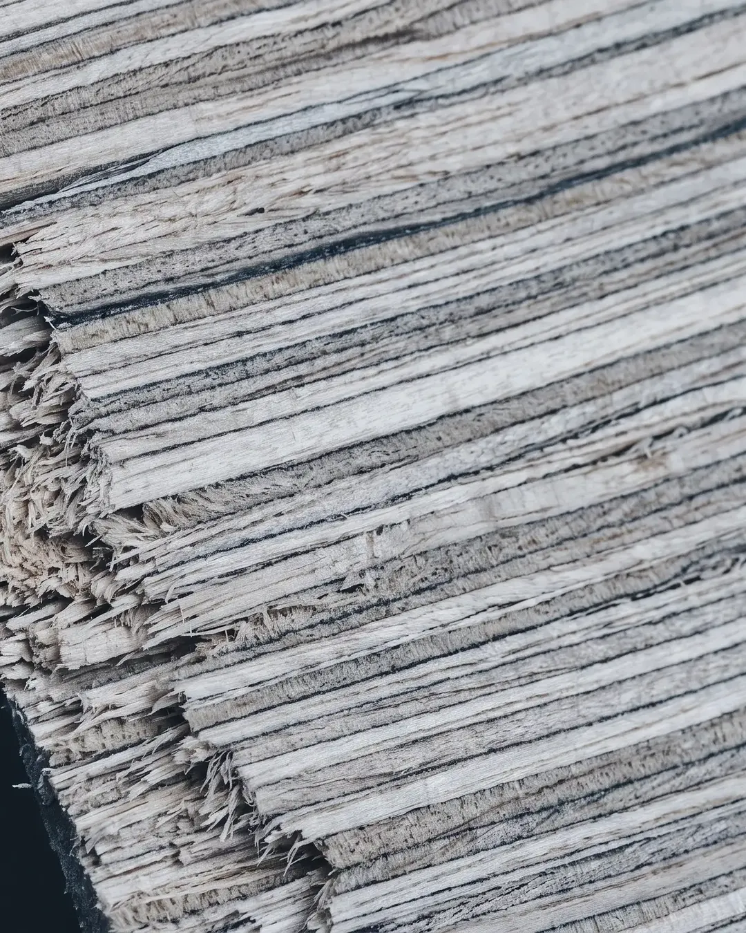 Plywood veneer laminations reading as fine parallel strata across a sawn panel edge