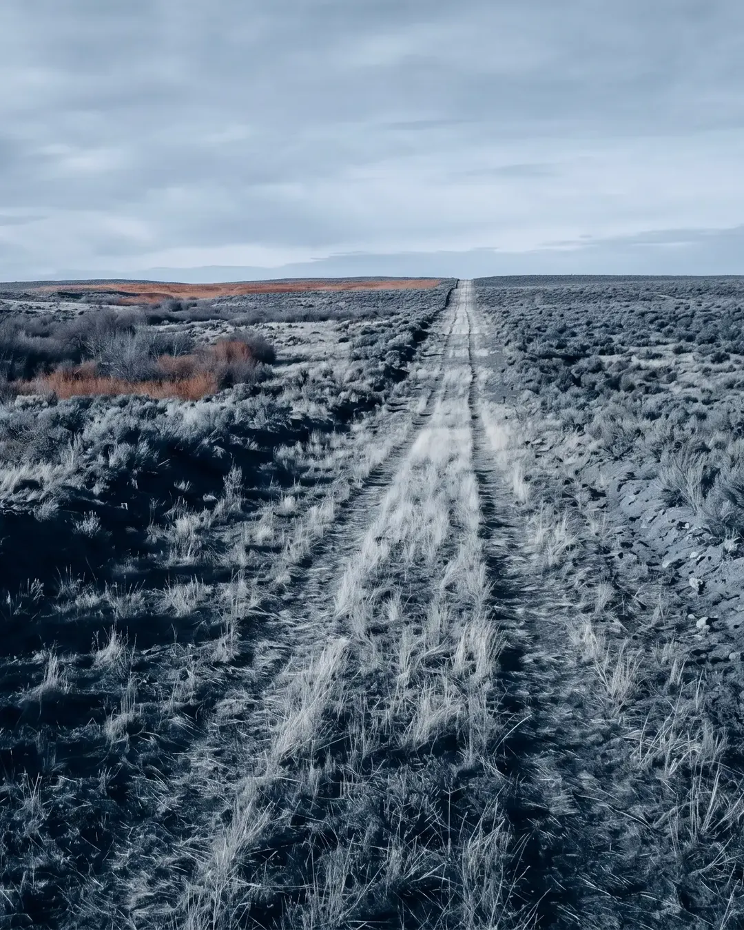 A buried pipeline right-of-way cutting a straight scar across scrub terrain toward the horizon
