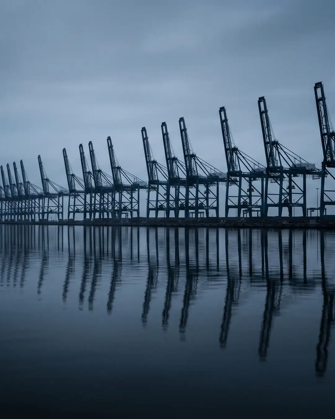A container terminal gantry crane row at dawn seen across still water
