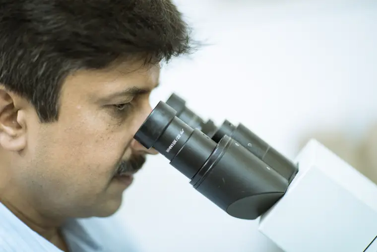 Microstructure examination under the metallurgical microscope.