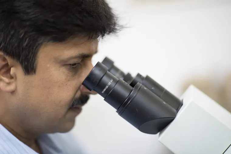 Why Failure Analysis Metallurgical Laboratory India Services Prevent Million-Dollar Disasters