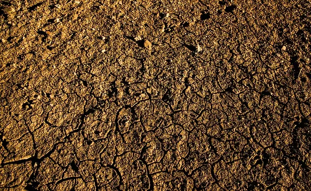 Solid Foundation starts with accurate Soil Testing
