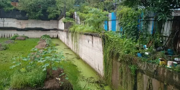 Structural Testing of Existing Retaining Wall and Raft: TCR's Comprehensive Site Assessment Approach