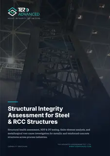 First page of Structural Integrity Assessment for Steel and RCC Structures (Revision 2)