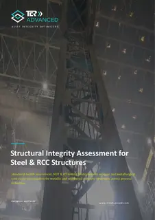 First page of Structural Integrity Assessment for Steel and RCC Structures