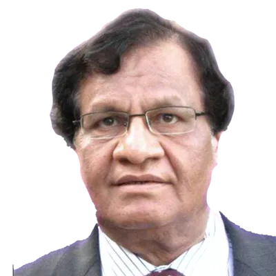 V.K. Bafna